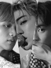 여우회 : 여우들의 모임