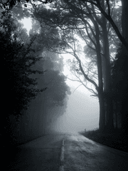 [ 연재 ] Death forest