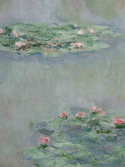 나의 해방일지들.