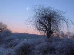 임정현 :: 21세 :: XY