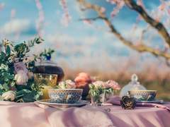 셀레타로 커미션