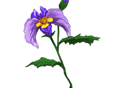 아나모스 모험기 운영 및 러닝 백업 上