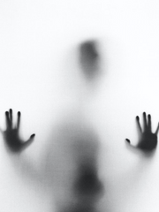 임포스터 imposter