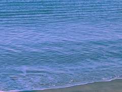 오늘 임무 째고 튈까?