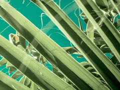 [GL] 디스토피아 이상향 2화