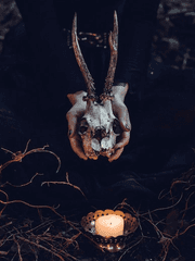 사랑 혹은 저주의 꿈