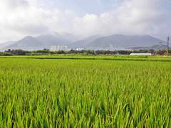 청춘:소년담 독후감