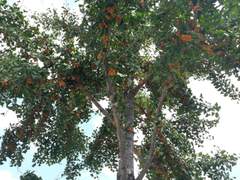 가을이 가기전 날 잡아!