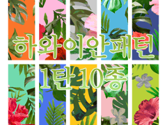 하와이안 패턴 1탄 판매