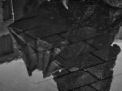 [신마이산즈] 너는 알고 있었다.