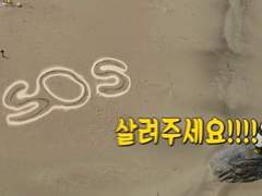 SOS! 빙의 서비스