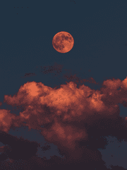 우연이 계속되면 운명