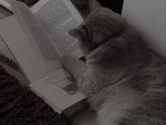 드림주 프로필 : 윤시아