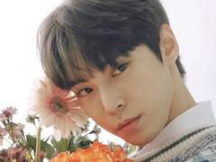 [도영] 코스모스가 피는 계절의