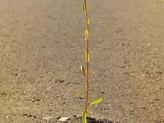 널 어쩌면 좋아/이도은