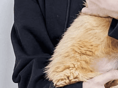 나를 길러주세요 3