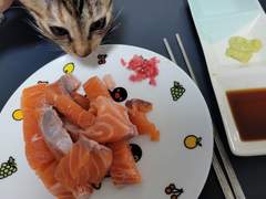 포인트 사용내역