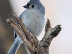 이야기 하나_작은 용사 이야기