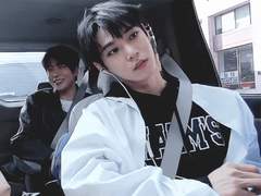 센티넬 보호소 +