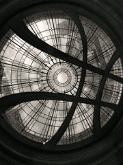 완벽범죄 지망생