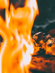 소설로만 보던 아포칼립스