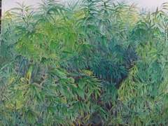 세월타고 흐느적흐느적 해봐!