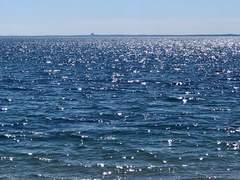 불루오션브로로맨스