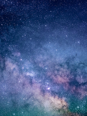 전지적 독자 시점