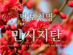 [당보청명] 만시지탄(晩時之歎)