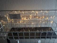 진품 모사사우루스 이빨 화석