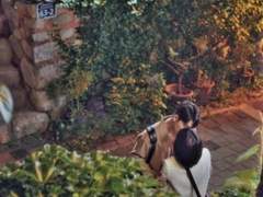 #3 준호가 영우의 고래 이야기를 들어주는 이유는?