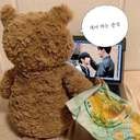 𝓣𝓮𝓭𝓭𝔂 𝓫𝓮𝓪𝓻