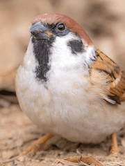 제목을 못 정했습니다. 가제도 너무 대충이라 공개 못하겠습니다.