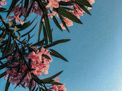 Lead you on! Temptation