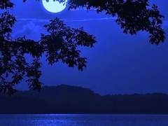 박쥐와 사각지대