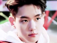 엑소 백현 변백현 토파즈 보정