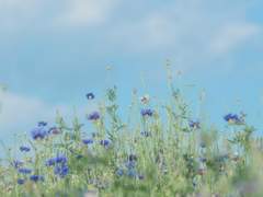 인물 배경 : 수현