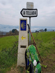 별들의 들판을 거닐던 한 때 - 산티아고 순례길 여행기 