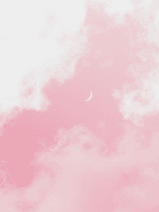 무지개 다리를 건너면