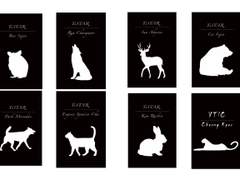 테스타+청려 포토카드 뒷면 도안