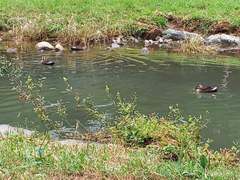 꿈속을 달리는 것 같습니다