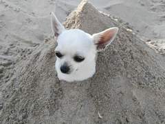 이성에게 사랑받는 데에 성적 매력은 중요한가? / 돈이 많아도 착해도 여자한테 차이는 남자들...