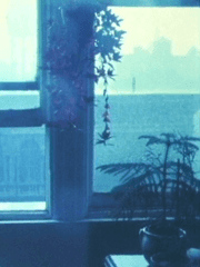 순간에 관한 짧은 필름