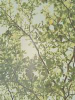 길들여지는 한 때