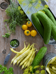 비거니즘과 영양