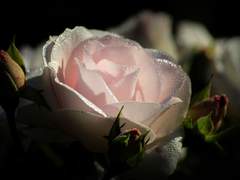 떠나고 싶어도 벗어날 수 없는