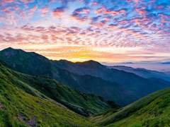 [아케론 L. 칼리드/인간/플라디움]