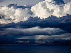 에덴 헤스티아 / Xx / 양지