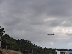 [청려문대] 고백