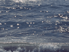 22.02~22.05 썰 백업